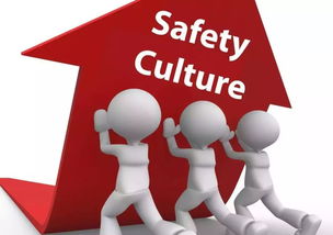 国家安全教育 三 有效消除和化解潜在文化风险,确保国家文化安全